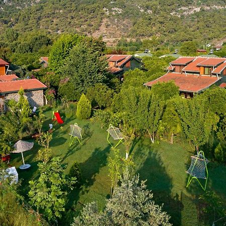 Apartament Flora Pansiyon Cirali Kemer Zewnętrze zdjęcie