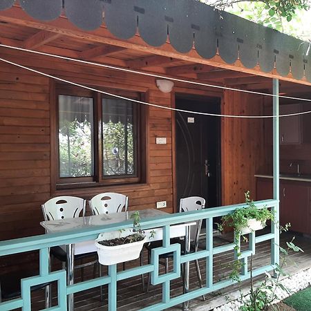 Apartament Flora Pansiyon Cirali Kemer Zewnętrze zdjęcie