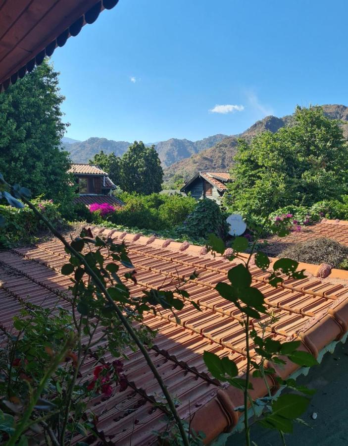 Apartament Flora Pansiyon Cirali Kemer Zewnętrze zdjęcie