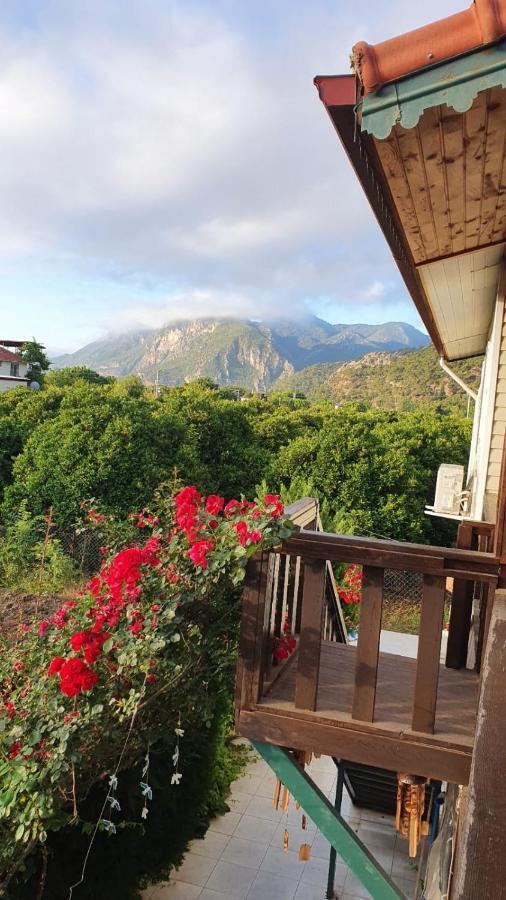 Apartament Flora Pansiyon Cirali Kemer Zewnętrze zdjęcie