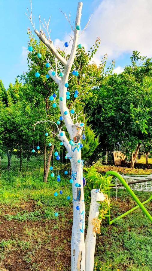 Apartament Flora Pansiyon Cirali Kemer Zewnętrze zdjęcie
