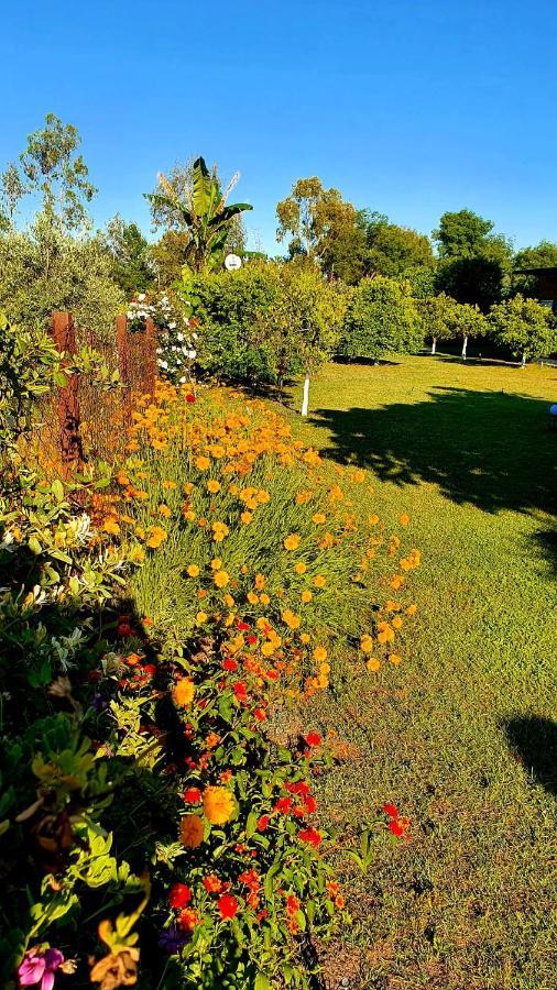 Apartament Flora Pansiyon Cirali Kemer Zewnętrze zdjęcie