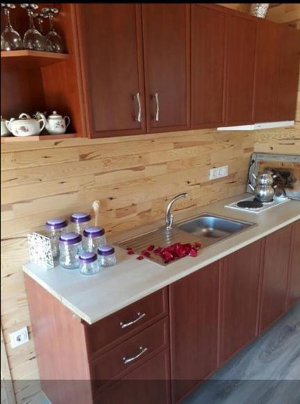Apartament Flora Pansiyon Cirali Kemer Zewnętrze zdjęcie