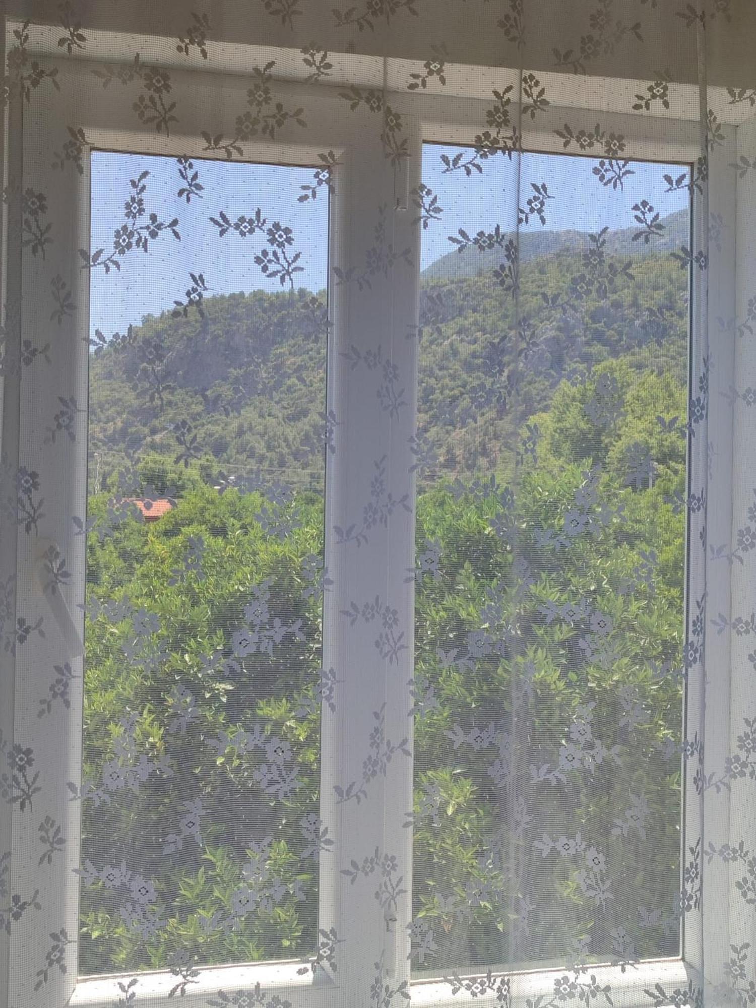 Apartament Flora Pansiyon Cirali Kemer Zewnętrze zdjęcie